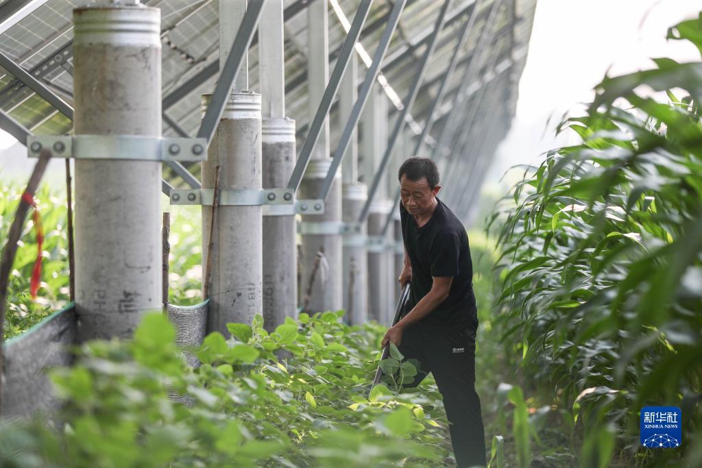姚记捕鱼炸翻天电脑版下载